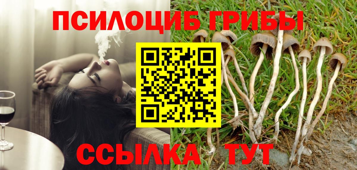 Еманжелинск  Галлюциногенные грибы Magic Shrooms  Вход с VPN  Псилоцибиновые грибы Magic Shrooms 