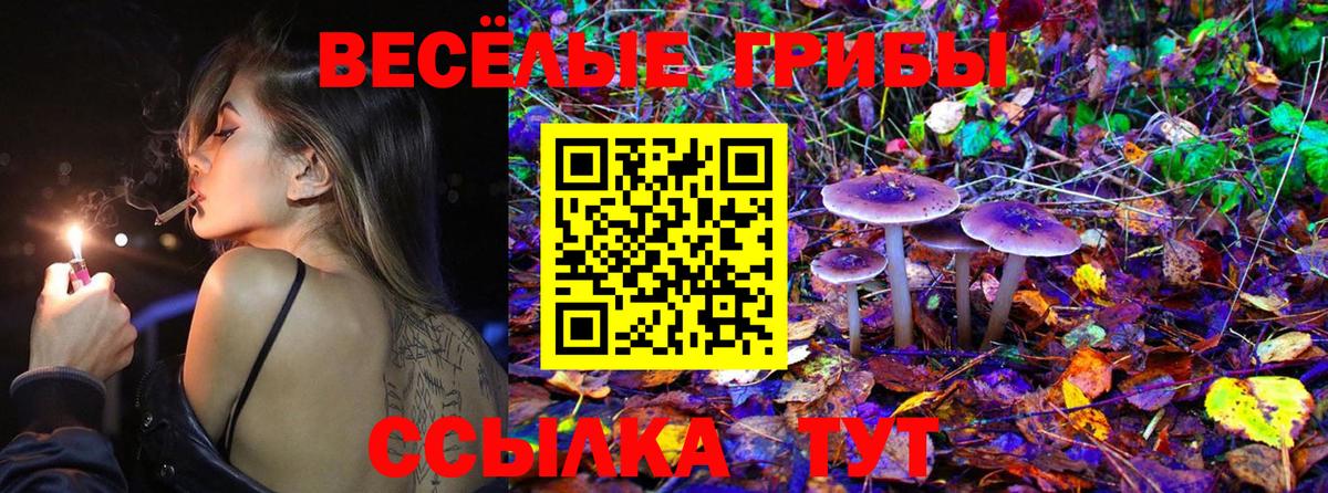 Галлюциногенные грибы GOLDEN TEACHER Еманжелинск